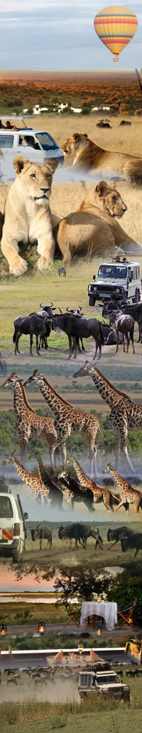 Kenya Safari holiday tips and guidelines