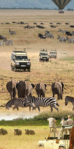 Safari Holidays in Africa