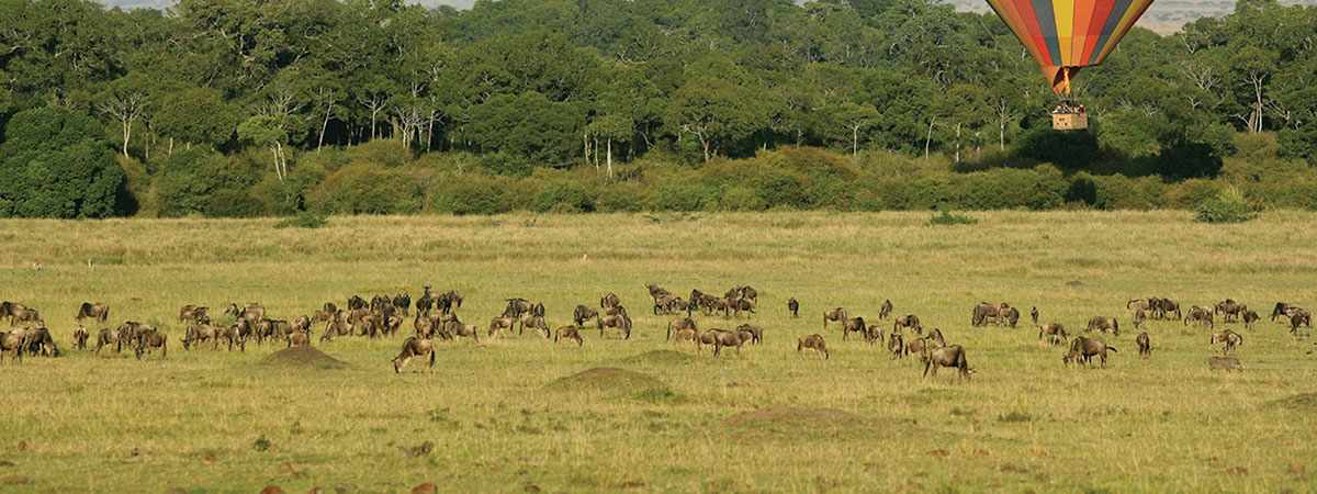 Hot air balloon safari tour in Africa